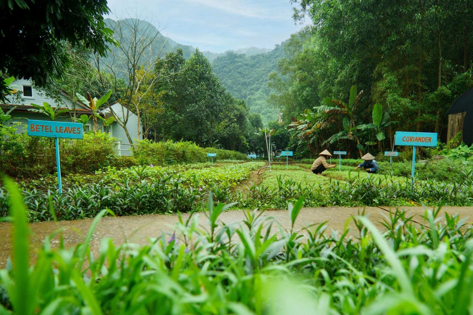 Chay Lap Farmstay Phong Nha Da Lon ภายนอก รูปภาพ