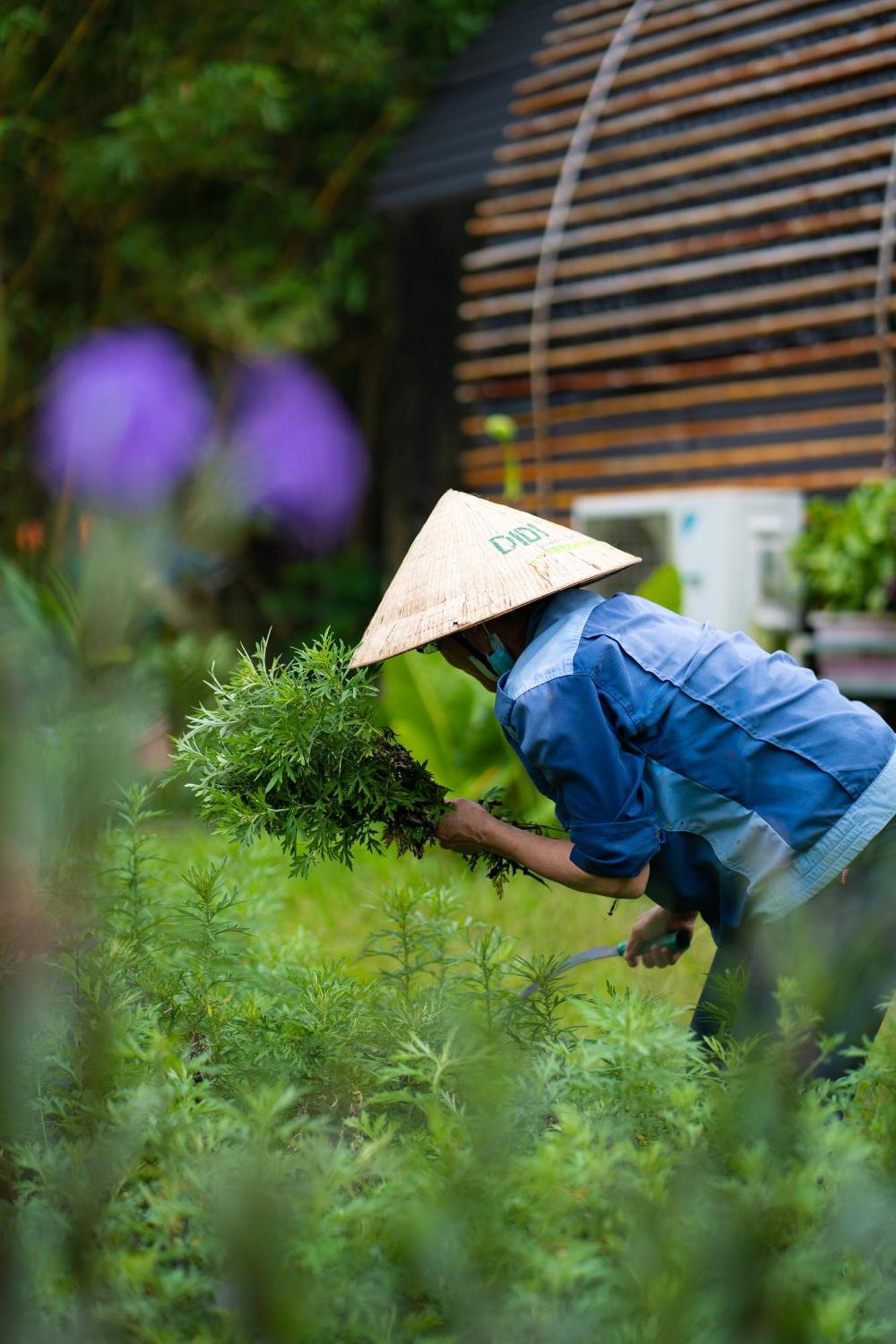 Chay Lap Farmstay Phong Nha Da Lon ภายนอก รูปภาพ