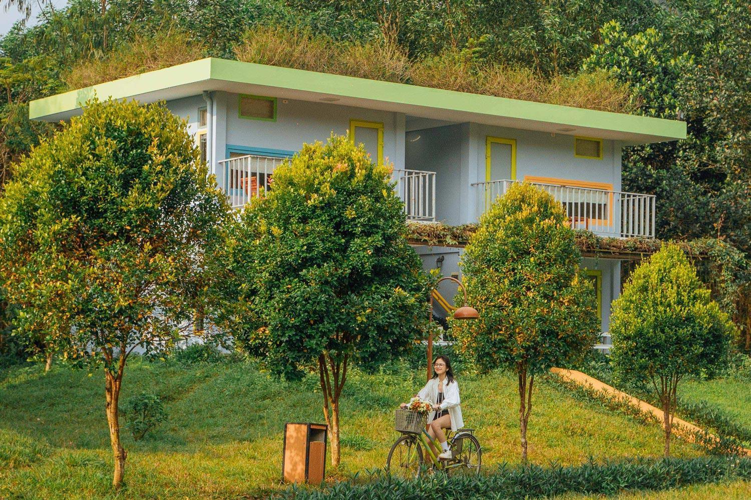 Chay Lap Farmstay Phong Nha Da Lon ภายนอก รูปภาพ